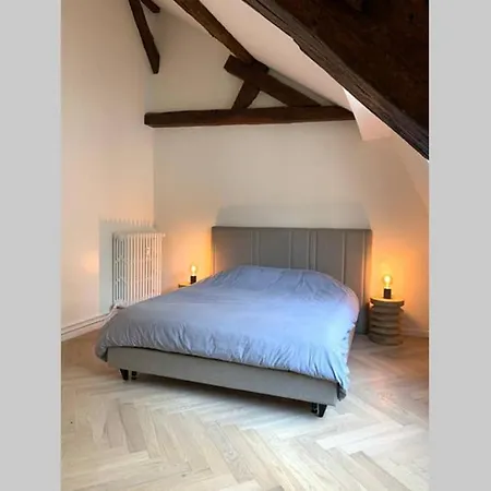 De Standing Au Pied Du Chateau De アパート シャンティイ
